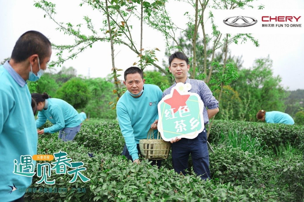 乐享奇程 | 花艺美学季,在田野花间,享受美好旅途