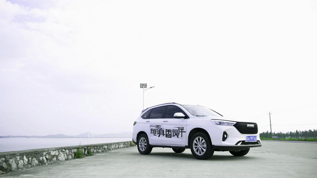 解锁5月超值优惠,哈弗M6 PLUS养宠家庭新选择
