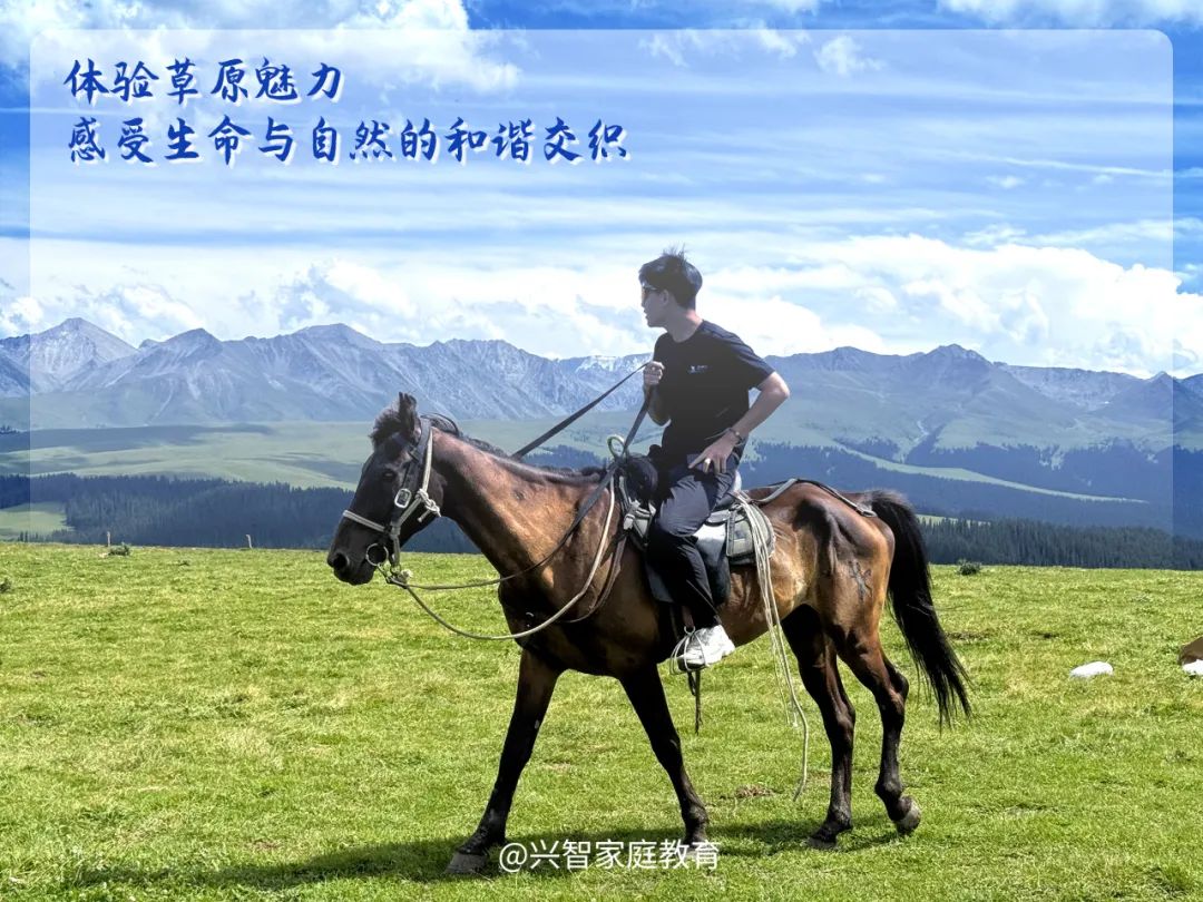 《兴智雄鹰计划》：赋能青少年成长，铸就未来精英领袖第5张